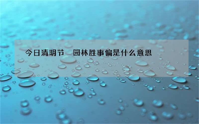 今日清明节 园林胜事偏是什么意思